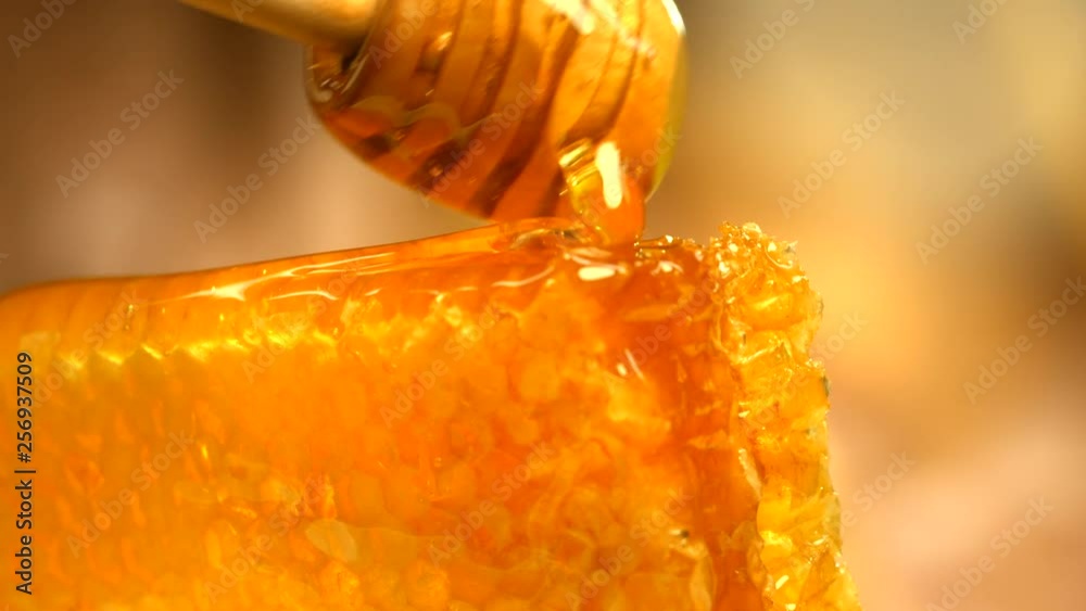 Honey dripping from honey dipper on honeycomb, over yellow background. Thick organic honey dipping from the wooden honey spoon. 4K UHD video footage. 3840X2160 Honey dripping from honey dipper on honeycomb, over yellow background. Thick organic honey dipping from the wooden honey spoon. 4K UHD video footage. 3840X2160