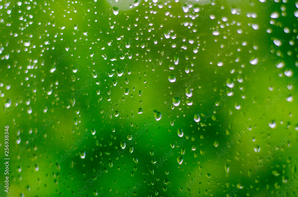 Small raindrops on the window glass in the summer against the backdrop of green Small raindrops on the window glass in the summer against the backdrop of green