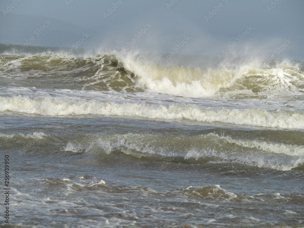 Fototapeta premium Puissance