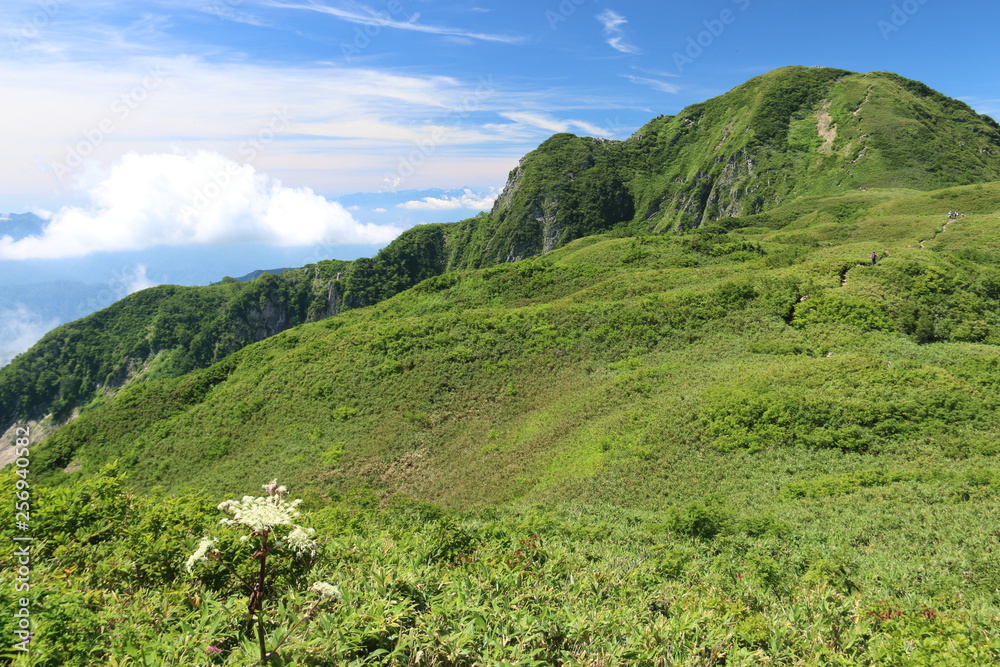 Fototapeta premium 雨飾山 山頂への道 笹平と山頂のある風景
