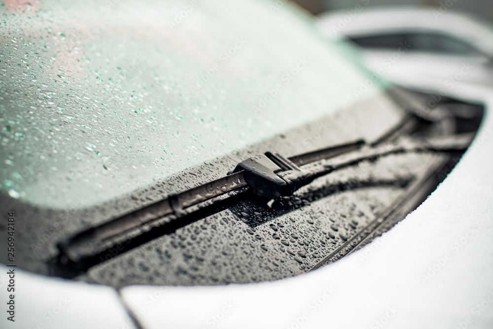 car wiper blade with shallow depth of field car wiper blade with shallow depth of field