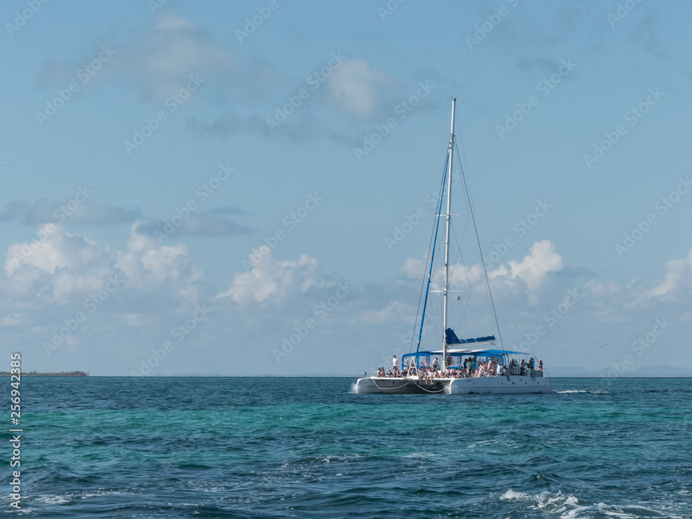 Catamaran touristic sailboat horizon turquoise water copy space 
