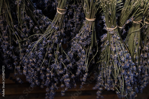 Drying lavender bunches