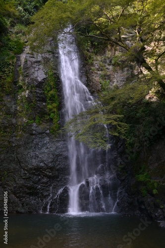 waterfall © Furuya