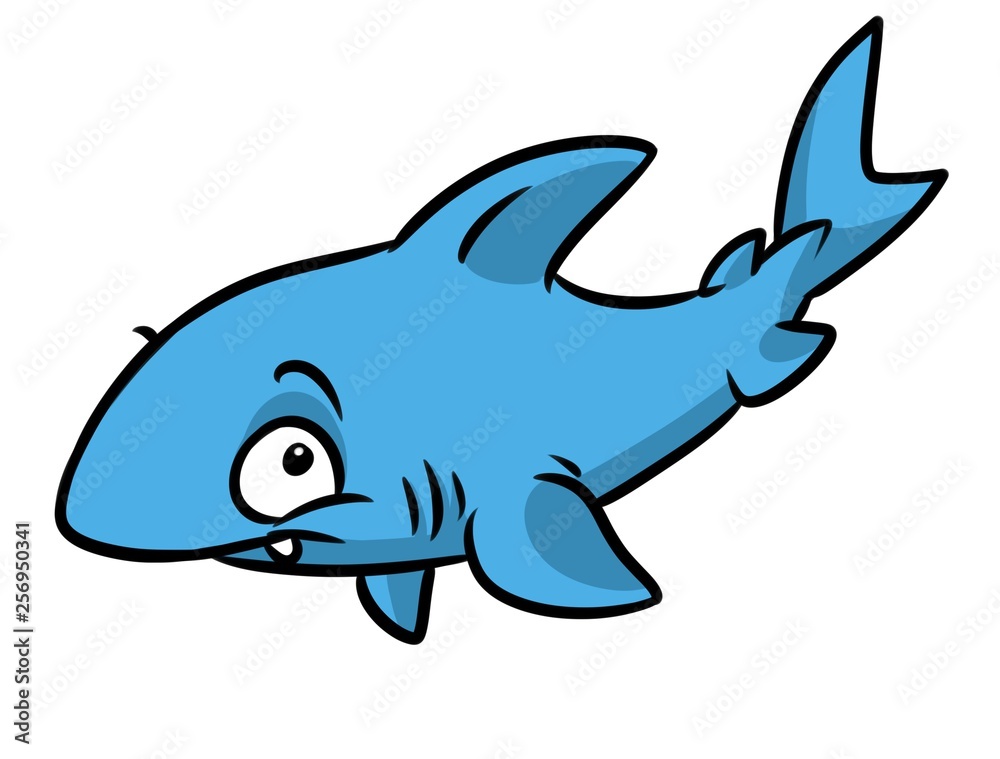 Shark fish animal character cartoon illustration isolated image Shark fish animal character cartoon illustration isolated image