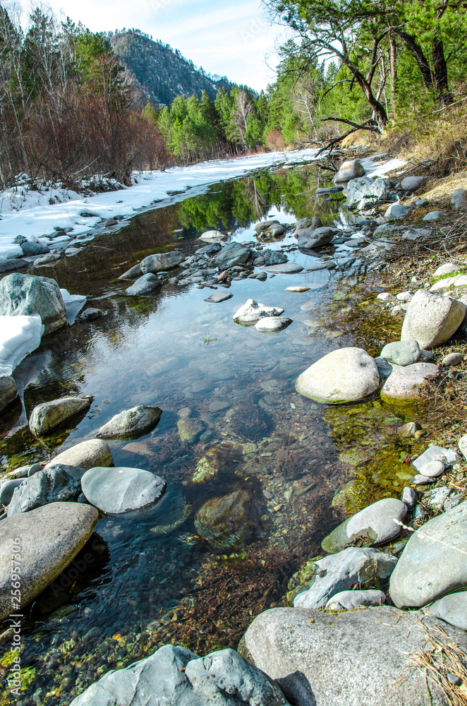 Spring nature of Altai Mountains Spring nature of Altai Mountains