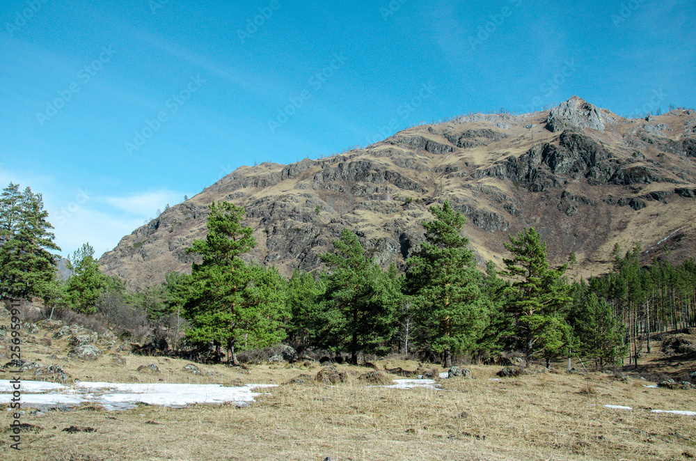 nature of the Altai mountains in Chemal district nature of the Altai mountains in Chemal district
