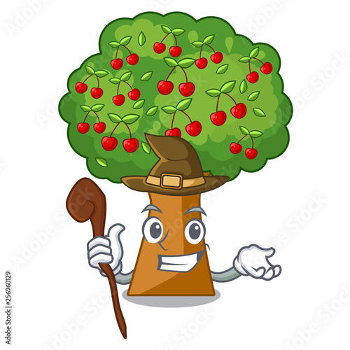Witch cherry tree toys in character shape