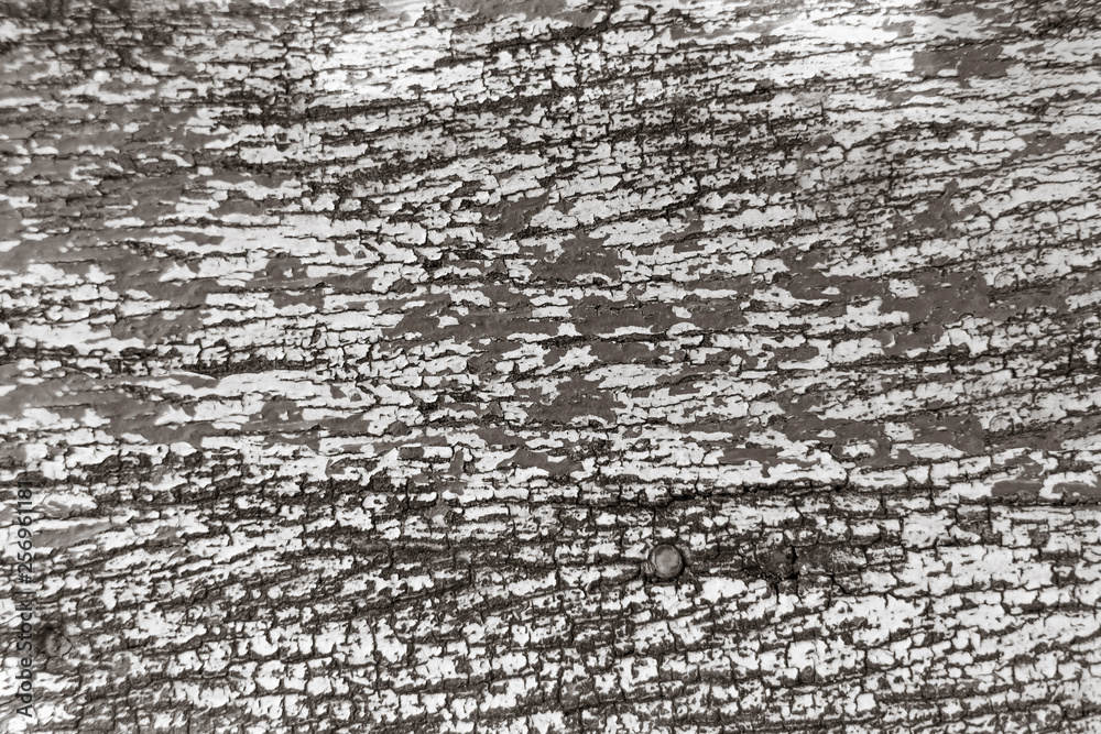 Naklejka premium old crack paint wood texture pattern for background