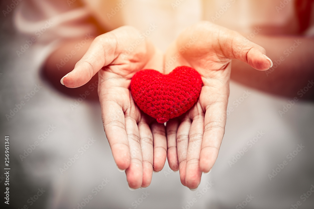 giving heart concept, beautiful love and share on girl hands. giving heart concept, beautiful love and share on girl hands.