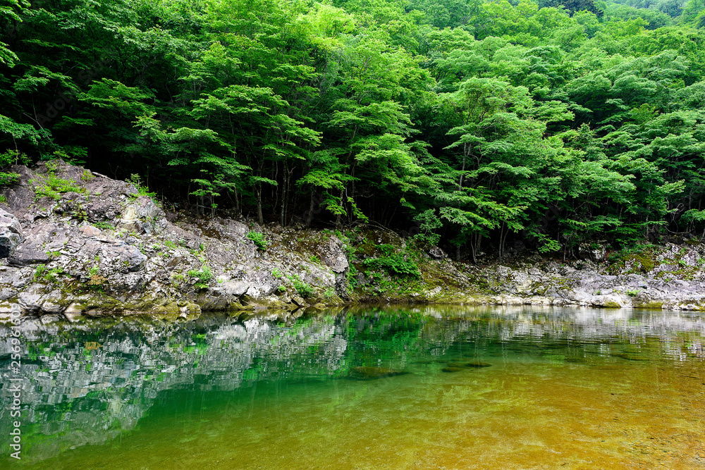 新緑の龍王峡 新緑の龍王峡