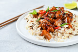 teriyaki chicken's  with chili pepper and sesame seeds, with rice. on a white plate, copy space, selective focus, Asian cuisine, Chinese cuisine,  food flat lay. light background, recipe background