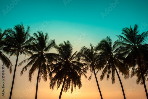 Sunset, Beautiful Silhouette Sweet coconut palm trees farm against background in Tropical island Thailand. fresh coconut on trees at Andaman sea, Ranong estuary, Thailand :Vintage tone, Warm tone © Theerawat