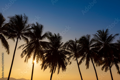 Sunset, Beautiful Silhouette Sweet coconut palm trees farm against background in Tropical island Thailand. fresh coconut on trees at Andaman sea, Ranong estuary, Thailand :Vintage tone, Warm tone © Theerawat