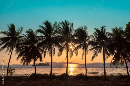 Sunset, Beautiful Silhouette Sweet coconut palm trees farm against background in Tropical island Thailand. fresh coconut on trees at Andaman sea, Ranong estuary, Thailand :Vintage tone, Warm tone