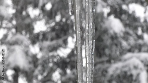 panning down icicles along roofline on winter day