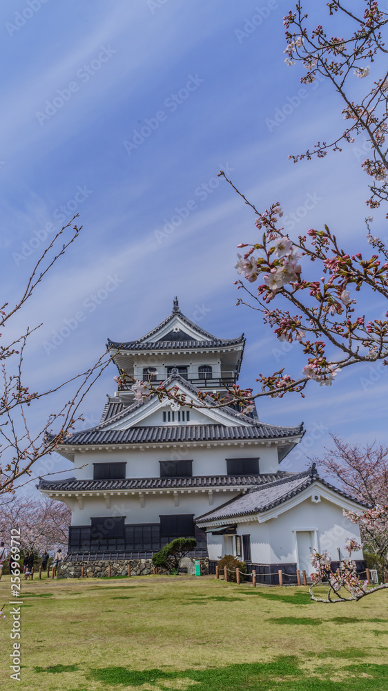春の館山城の天守の風景 春の館山城の天守の風景