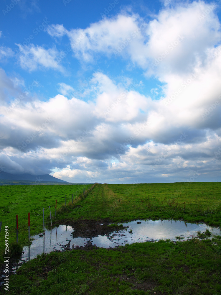 北海道の畑