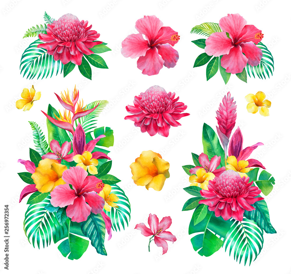 Watercolor tropical flowers. Hand painted illustrations isolated on white background