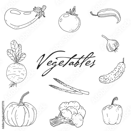 Set of elements with hand drawn vegetables on a white background.