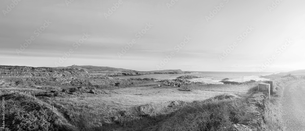 Black white panoramic landscape in Beara Peninsula