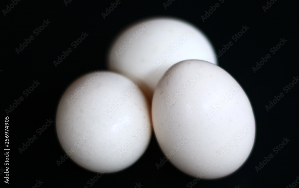 Kampung chicken eggs or telur ayam kampung on black background. Kampung chicken eggs or telur ayam kampung on black background.