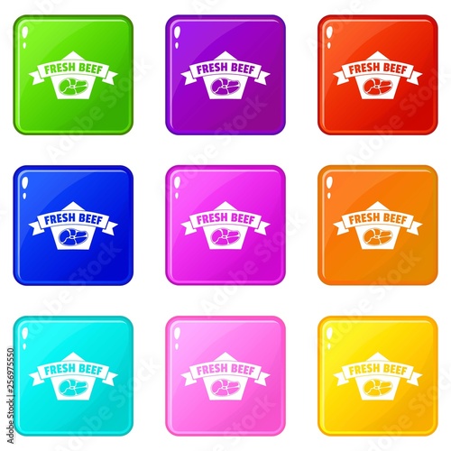 Fresh eco beef icons set 9 color collection isolated on white for any design