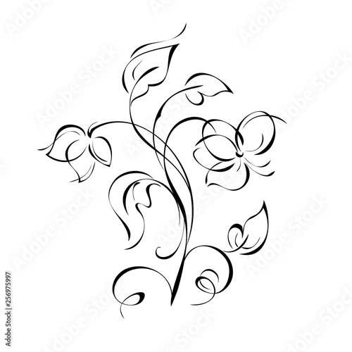 two stylized flowers on stems with leaves and curls in black lines on a white background