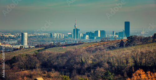 Photography vienna city panorama