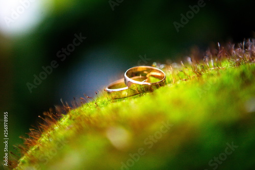 Golden wedding rings on the green moss