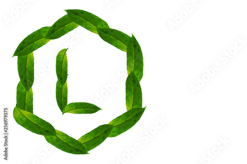 Nature concept alphabet of green leaves Logo L with hexagon shape. Letter L concept Logo.