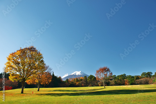 美しい秋の紅葉と富士山