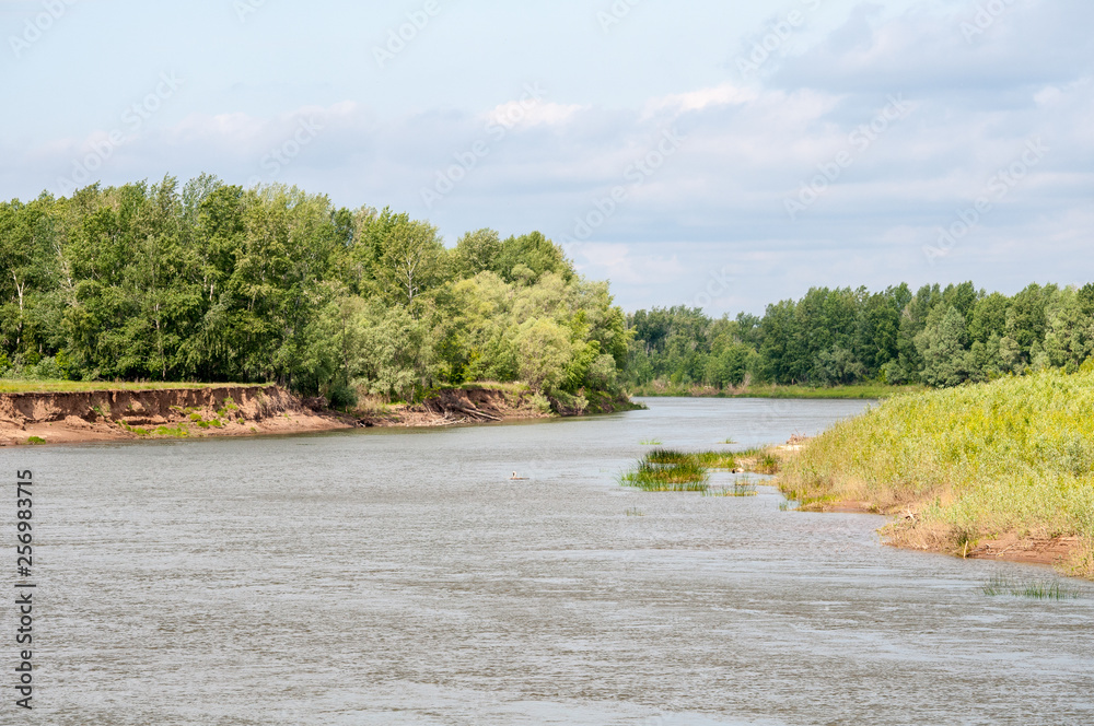river slipping into the distance in yellow, autumn colors river slipping into the distance in yellow, autumn colors