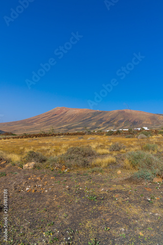 Spain, Lanzarote, Red volcano mountains behind yellow field of grass