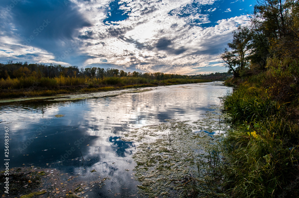river slipping into the distance in yellow, autumn colors river slipping into the distance in yellow, autumn colors