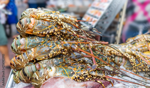 fresh lobsters luxury seafood