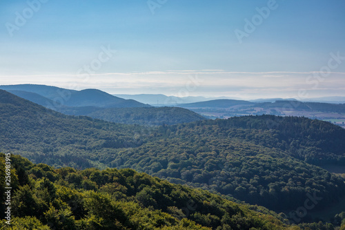 Sandstone rock formation Hohenstein in Germany © wlad074