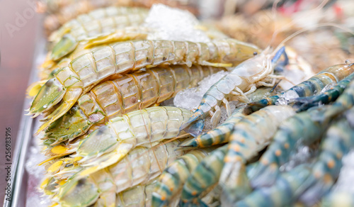 fresh mantis shrimp or oratosquilla photo