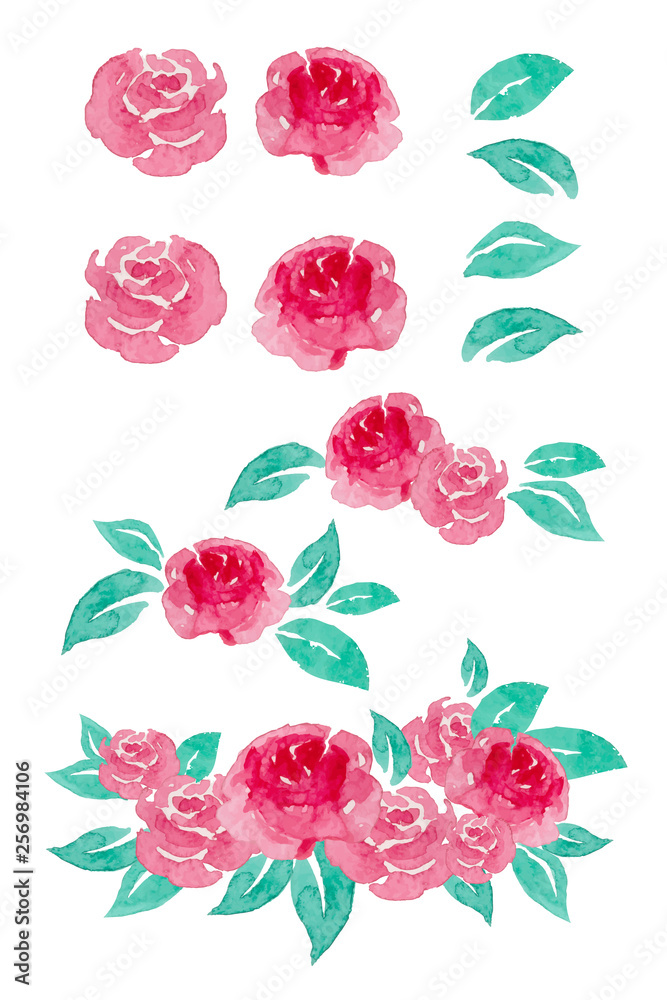 Watercolor painting of rose collection. Watercolor painting of rose collection.