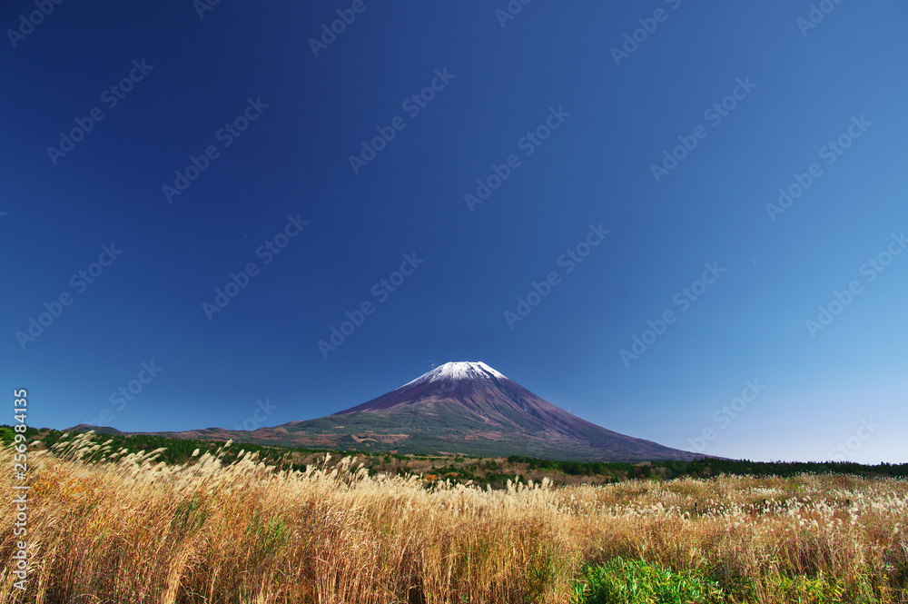秋のススキと富士山