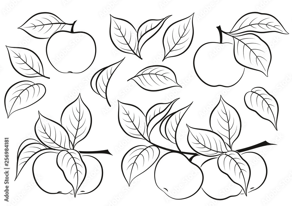 Set of Plant Brunches with Apples, Fruits and Leaves, Black Pictograms Isolated on White. Vector