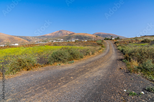 Spain, Lanzarote, Black path to red volcano mountains alongside fields of flowers