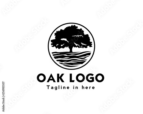 Circle oak tree logo design inspiration