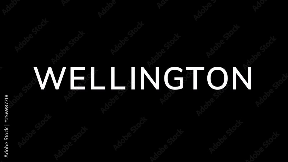 From the Glitch effect arises capital name WELLINGTON. Then the TV turns off. Alpha channel Premultiplied - Matted with color black From the Glitch effect arises capital name WELLINGTON. Then the TV turns off. Alpha channel Premultiplied - Matted with color black