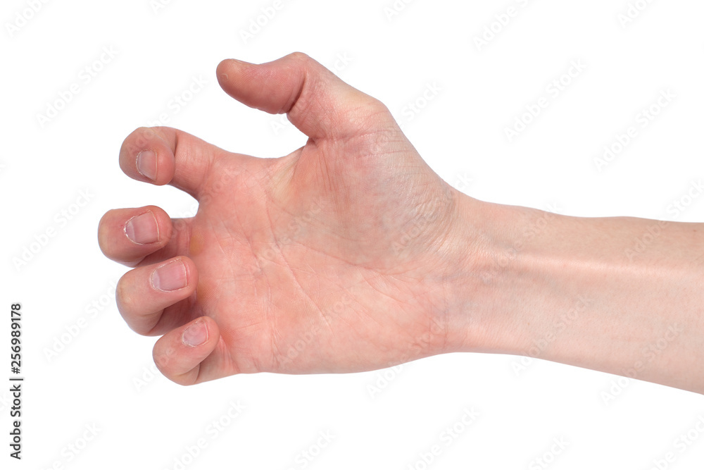 Hand holding something isolated on white background. Hand holding something isolated on white background.