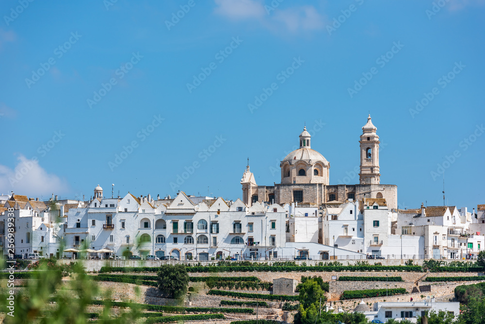 Locorotondo and the Itria valley. Between white houses and Trulli. Puglia, Italy