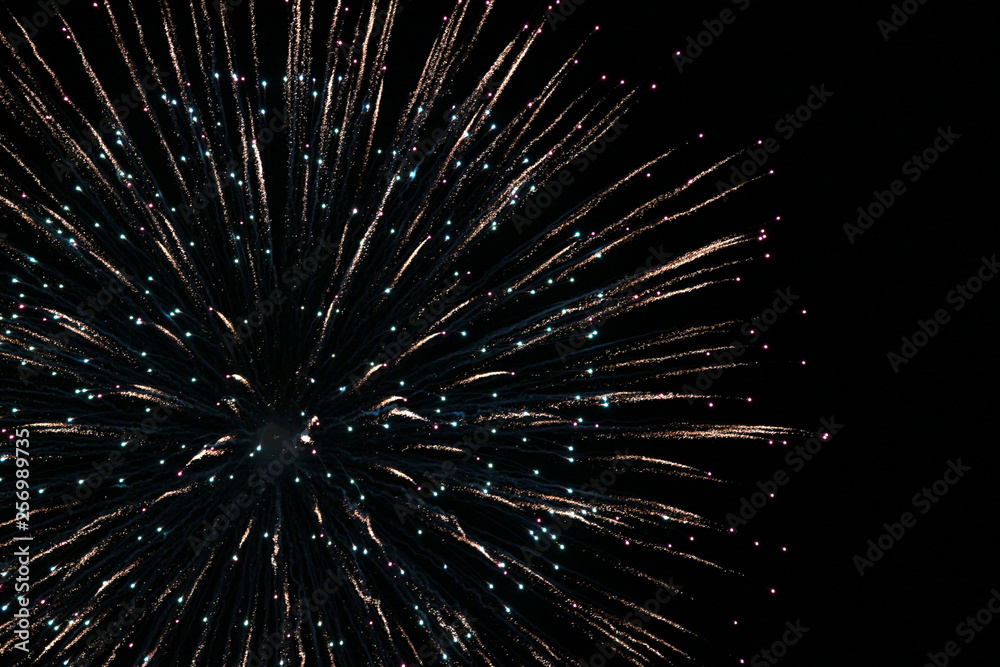 Close-up photo of fireworks exploding in the night sky Close-up photo of fireworks exploding in the night sky