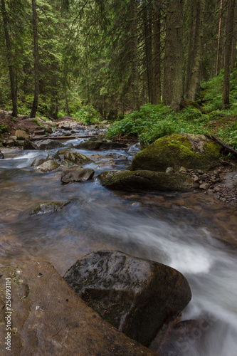 Mountain stream in the woods. Carpathians