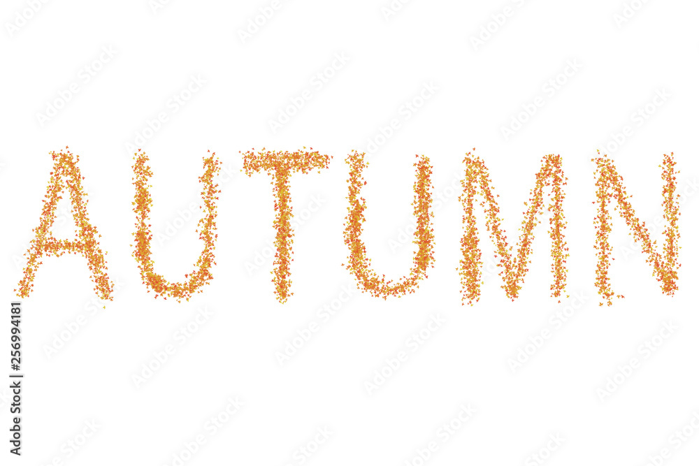 autumn background basic inscription leaf maple yellow red brown on white background design base