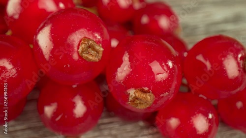 Wallpaper Mural Super close macro of a redcurrants on a wooden table. Torontodigital.ca